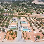 Pangea Ion Vila